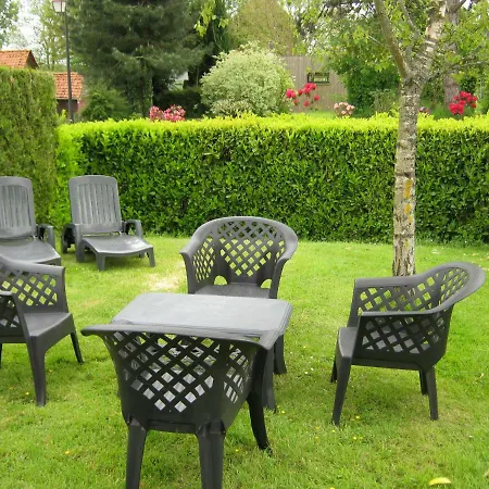 Des Pins Penches Brunville