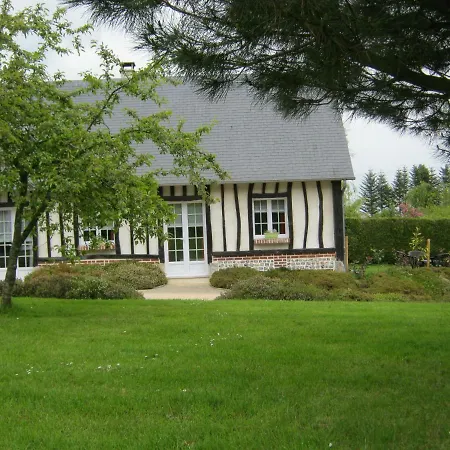 Des Pins Penches * Brunville