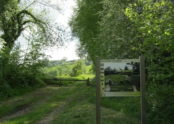 Des Pins Penches Holiday home *