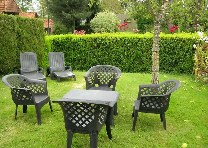 Des Pins Penches Brunville