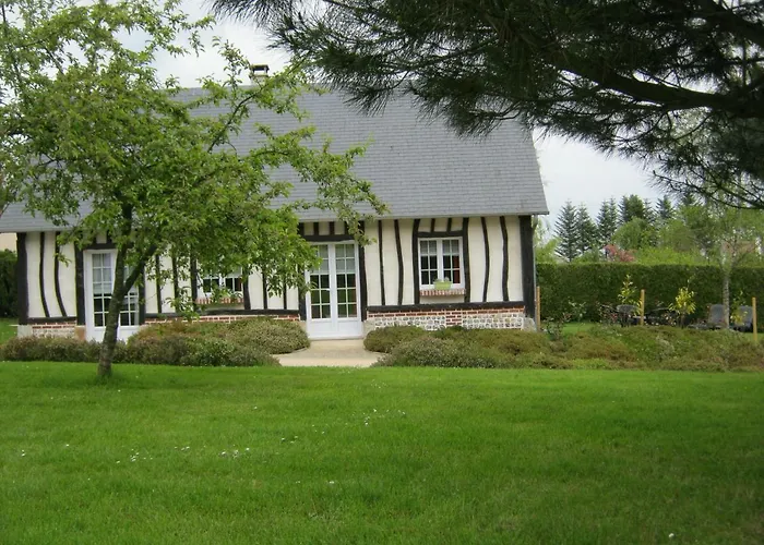 Des Pins Penches * Brunville