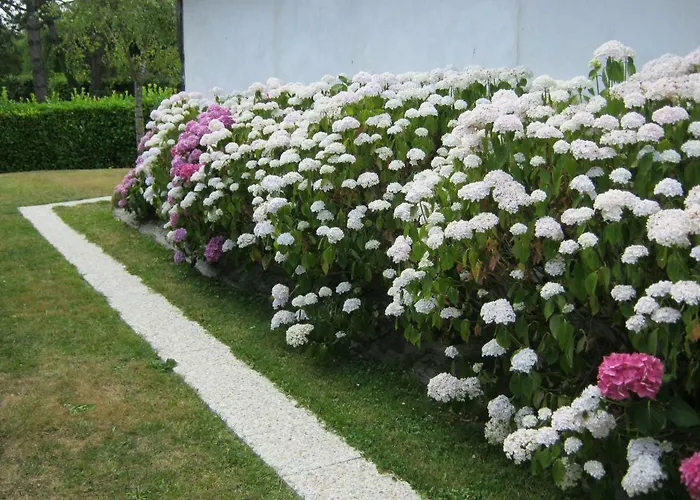 Des Pins Penches Holiday home *